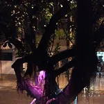 Ipanema Vinicius 201